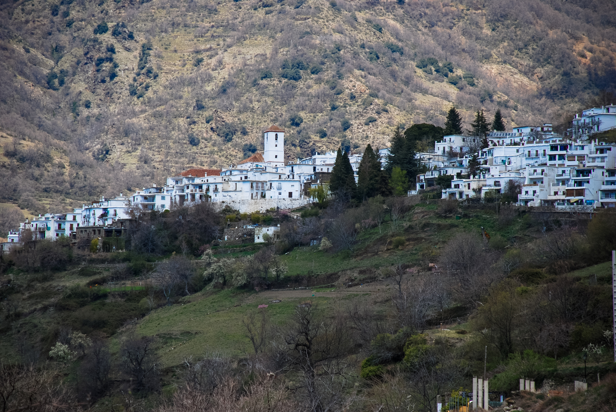 A typical Andalusian white-whashed mountain village.