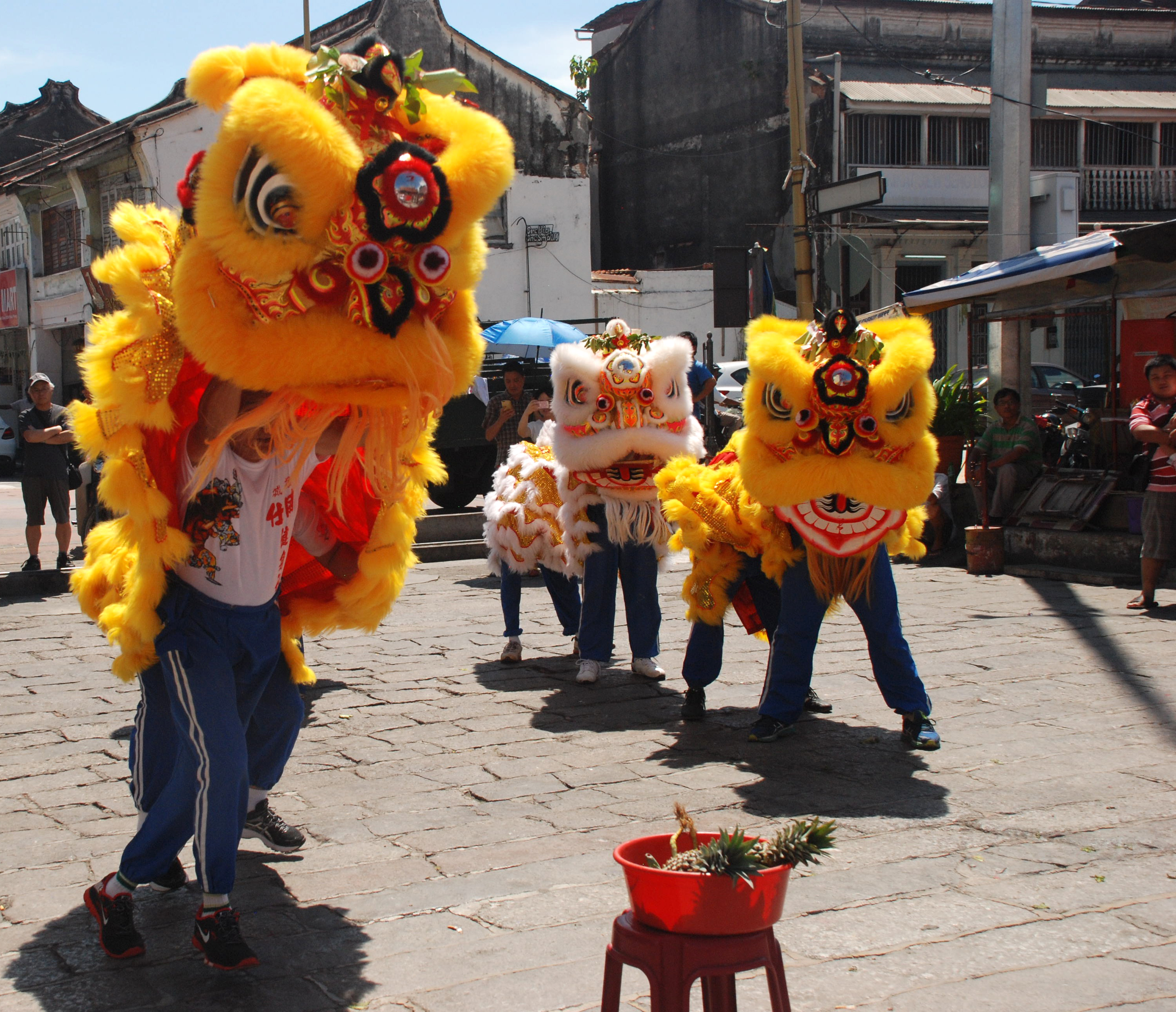 The lion comes alive during Chinese New Year in Penang