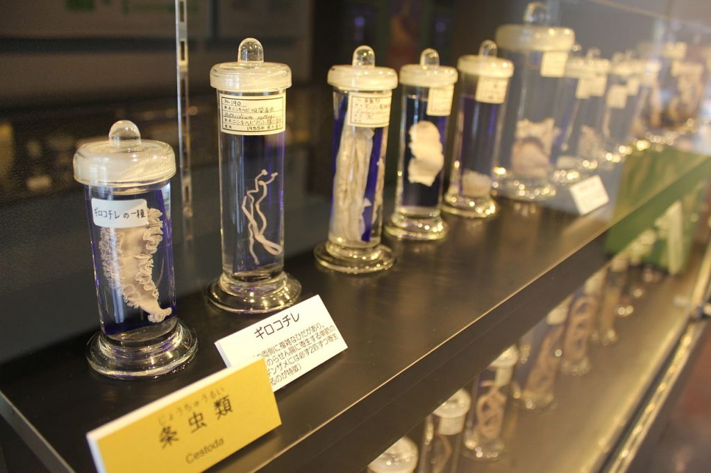 Parasitological Museum, Tokyo