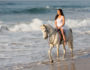 pretty young lady riding a horse on the beach in early morning