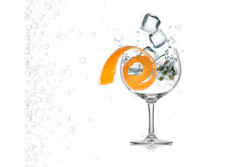 Gin and Tonic Infographic, Gin and Tonic with orange peel, gin and tonic with cardamom, combining gin and tonic
