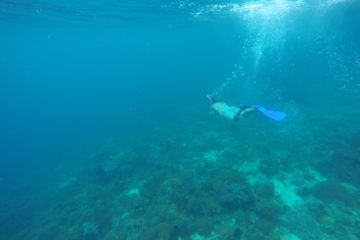 Snorkelling off Ticao Island, Philippines
