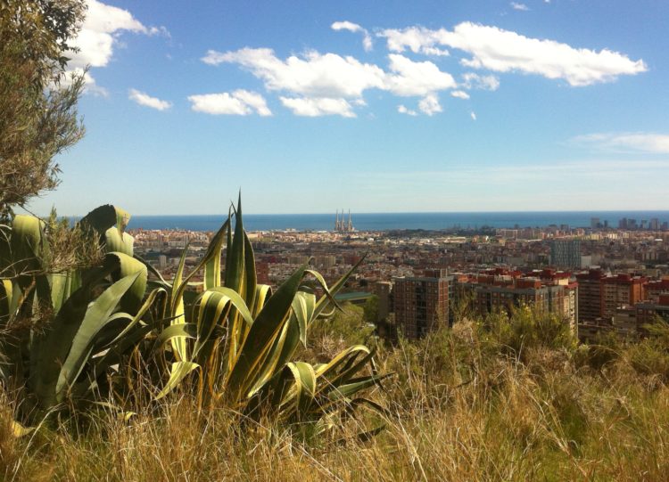 Plans for an eco-friendly Barcelona and a sustainable city